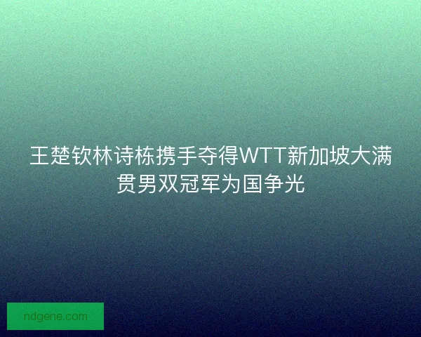 王楚钦林诗栋携手夺得WTT新加坡大满贯男双冠军为国争光