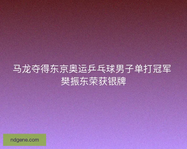 马龙夺得东京奥运乒乓球男子单打冠军 樊振东荣获银牌